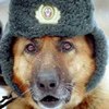 Lawyer_38rus
